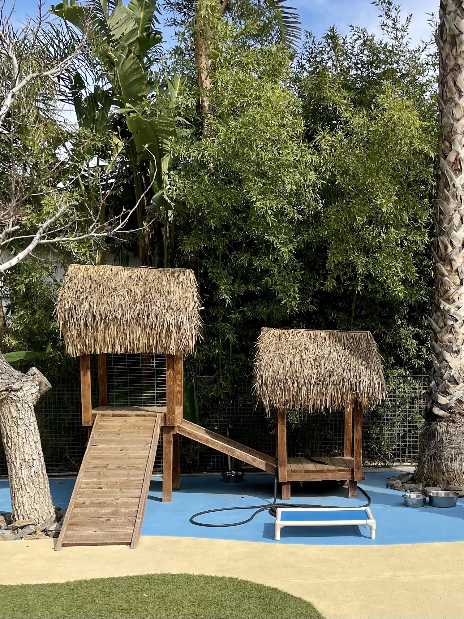 Paradise Ranch Pet Resort Sun Valley