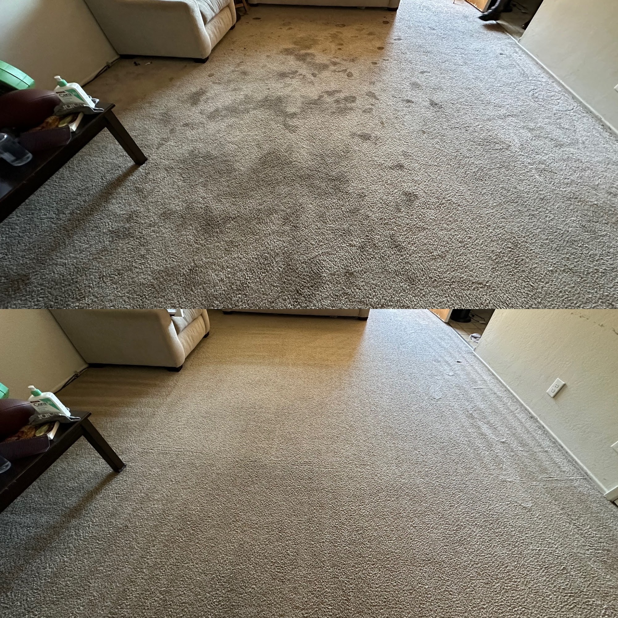 Carpet Cleaner Lewis Cleaners South