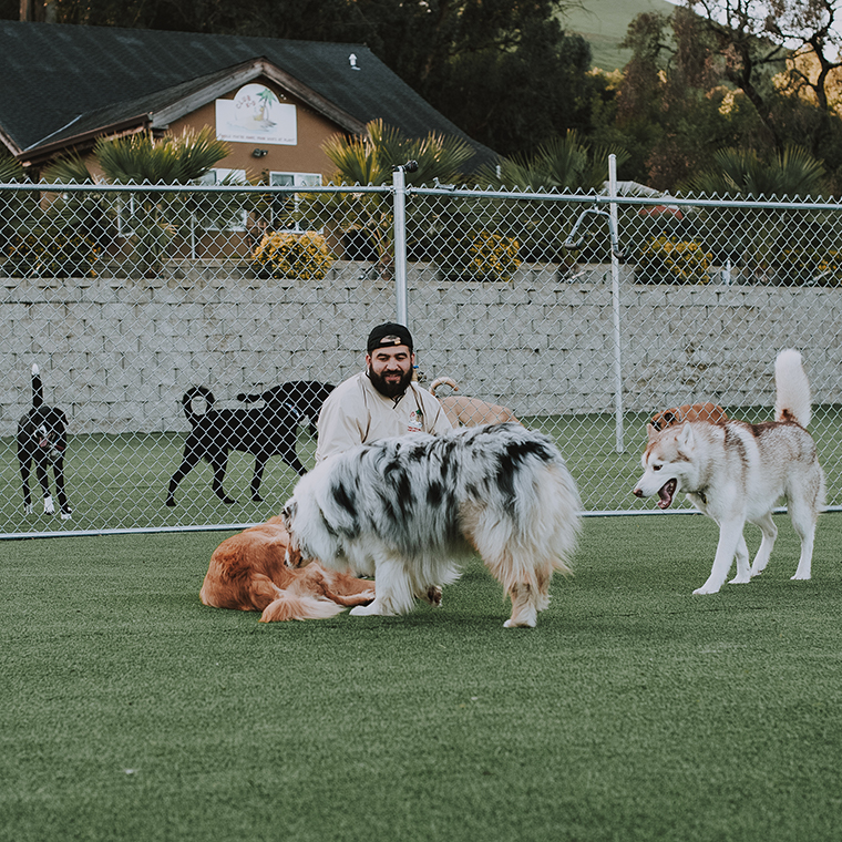 Club K9 Fremont-Sunol Sunol