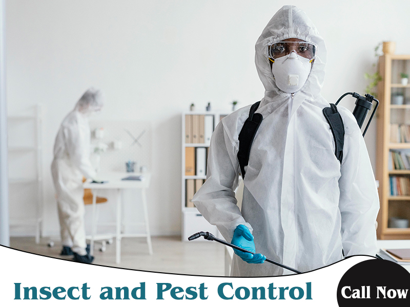 Source Pest Control