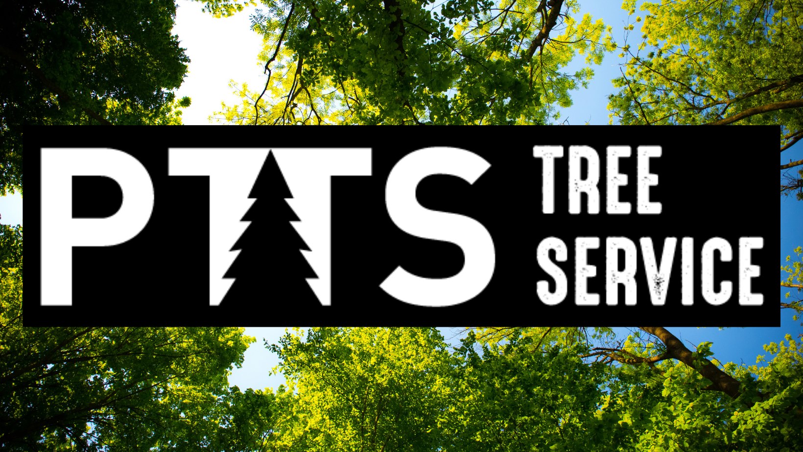 PTS Tree Service
