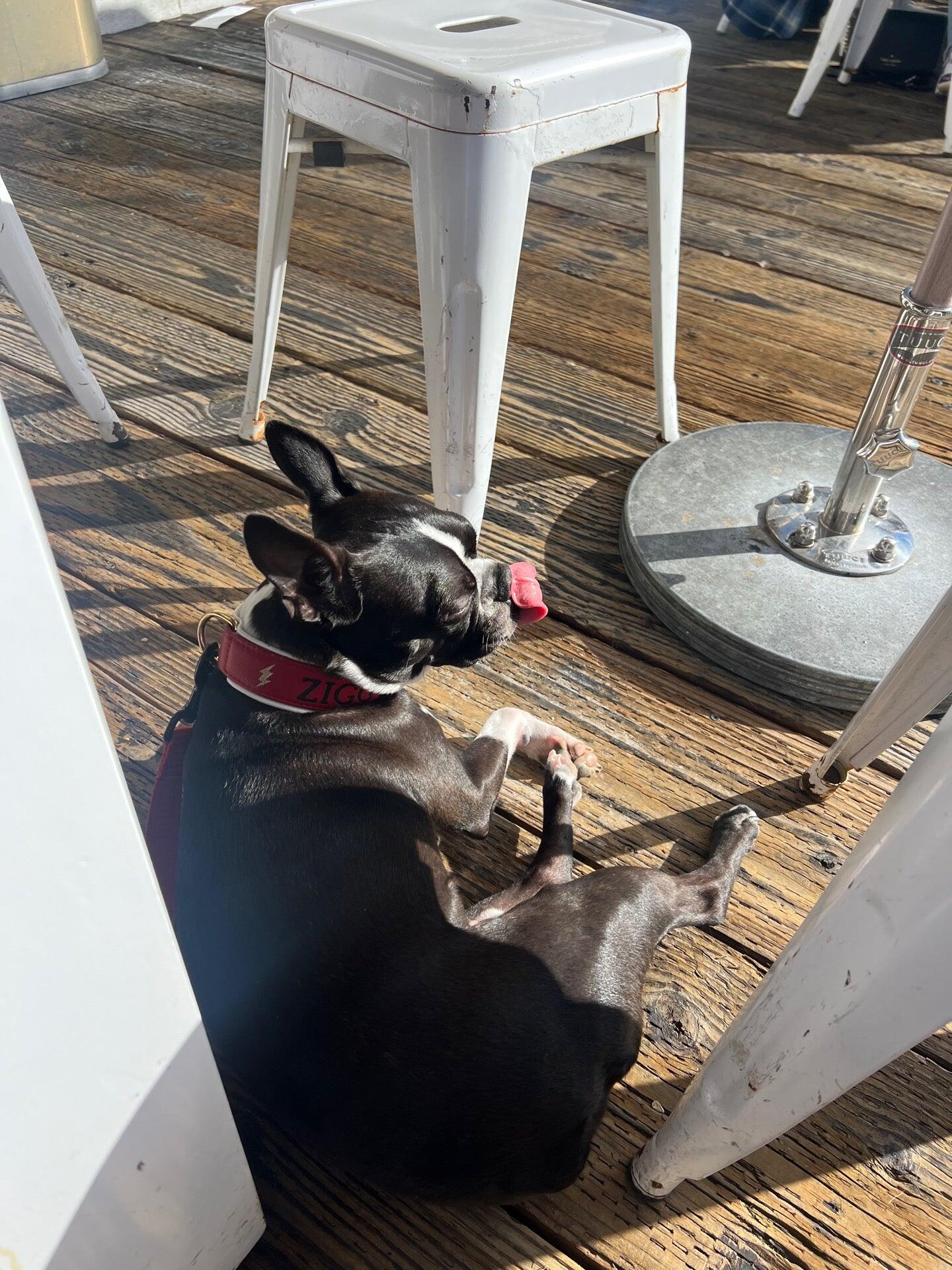 Photo credit: nextdoor