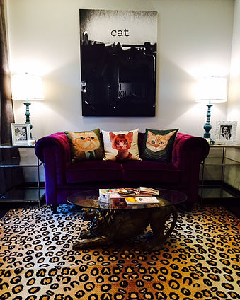 Cat Boarding Los Angeles, Cat Grooming Los Angeles, Cat & Pet Hotel, Cat Boarding Burbank & Los Feliz : Cateau Marmont Toluca Lake