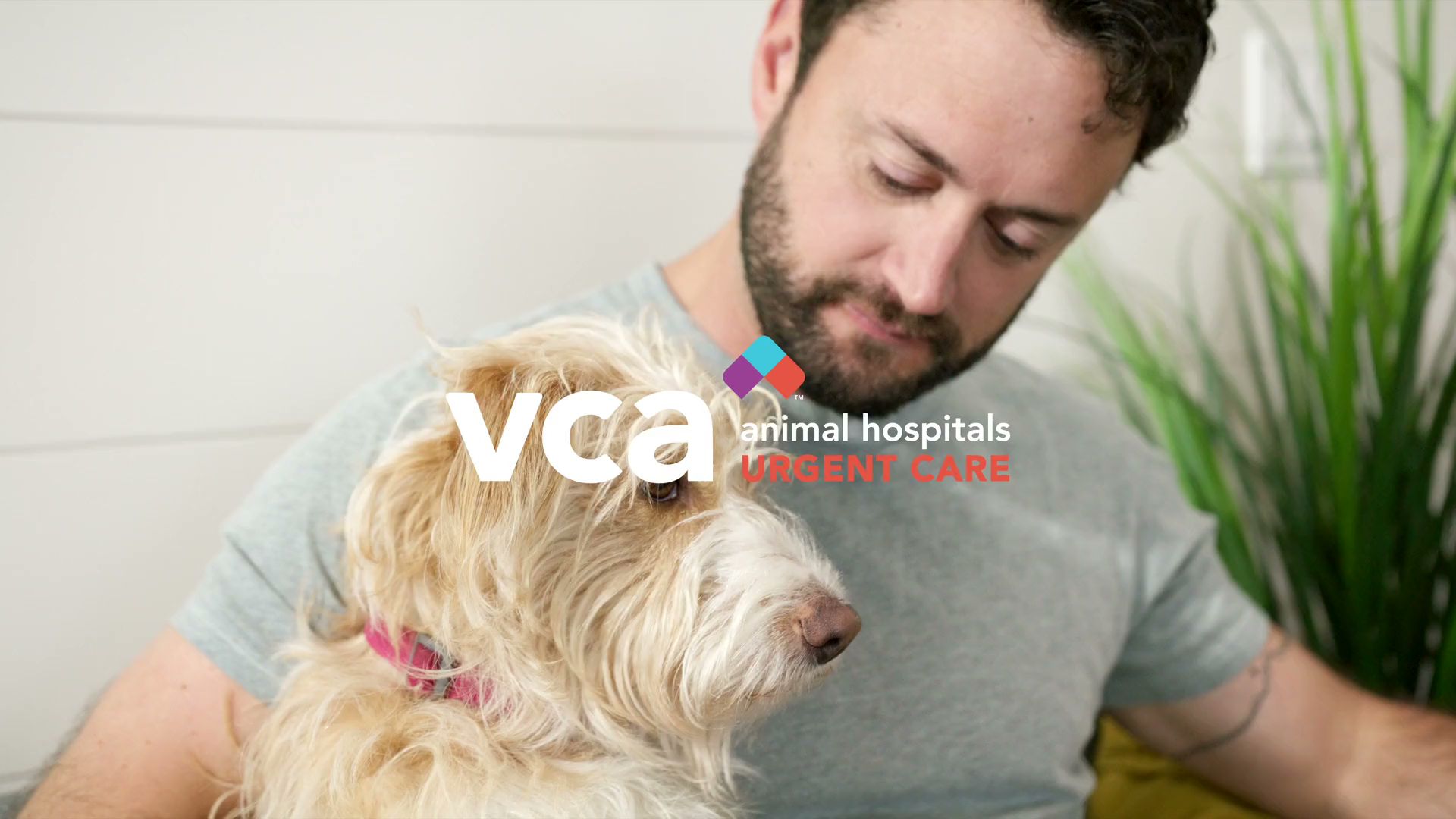 VCA Animal Hospitals Urgent Care - Tustin