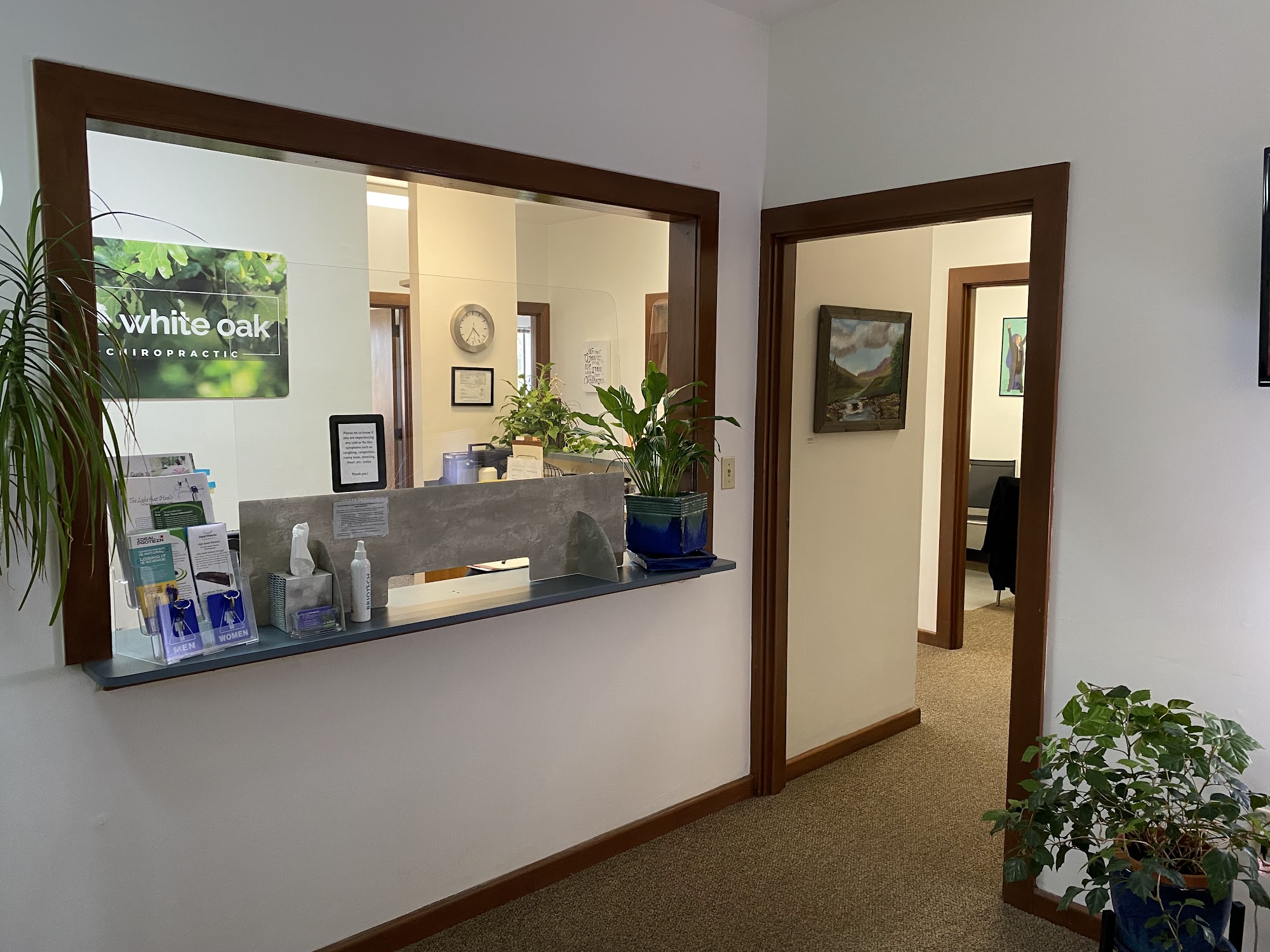 White Oak Chiropractic - Jane Baxley, DC