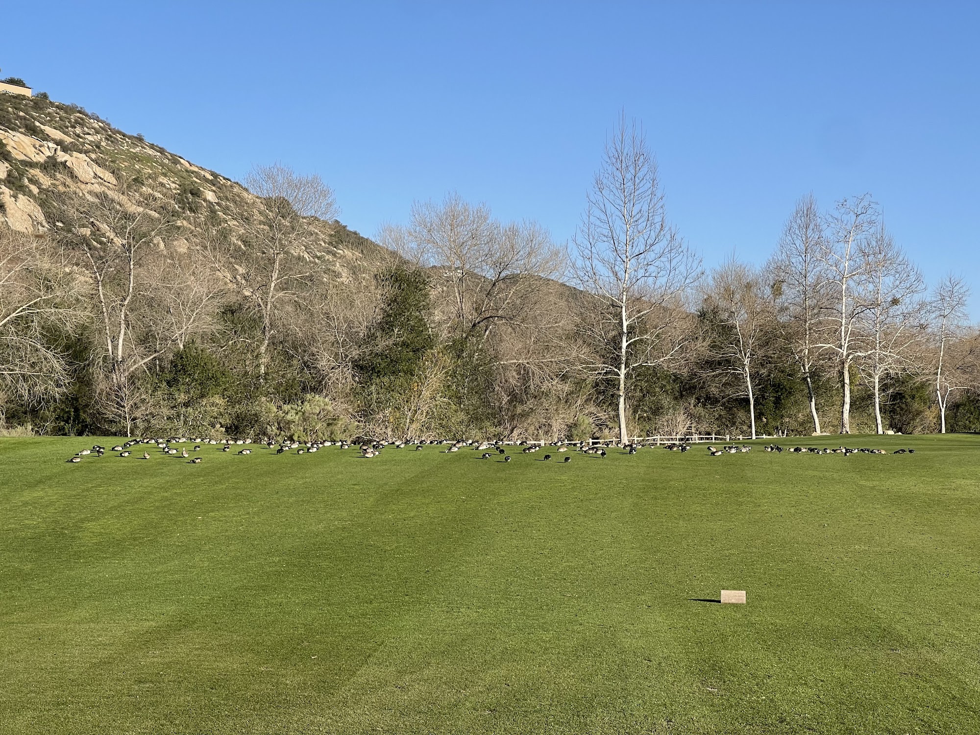 Native Oaks Golf Club 14616 Woods Valley Rd, Valley Center California 92082