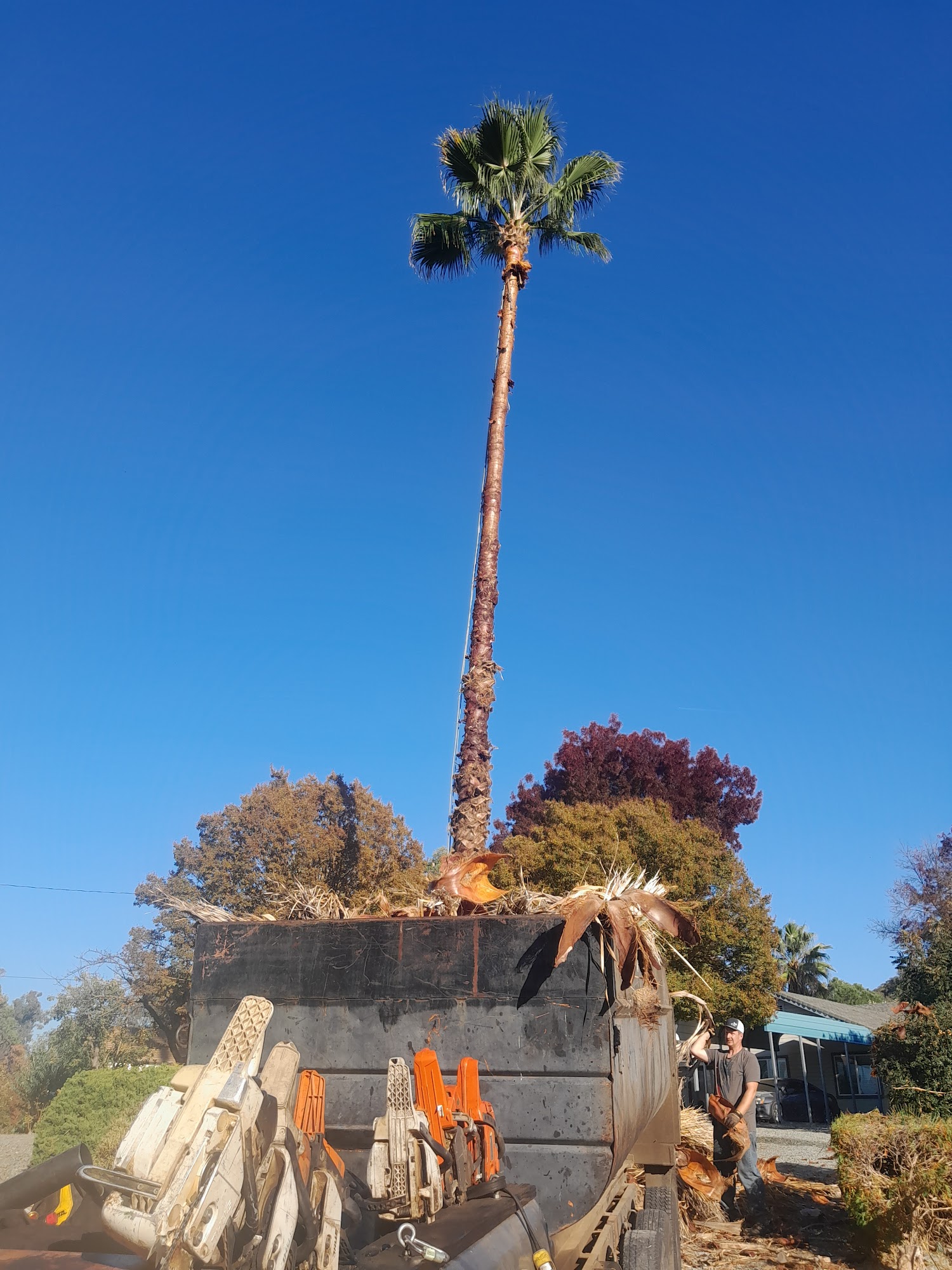 Big Bens Tree service 105 Cottontail Ln, Valley Springs California 95252