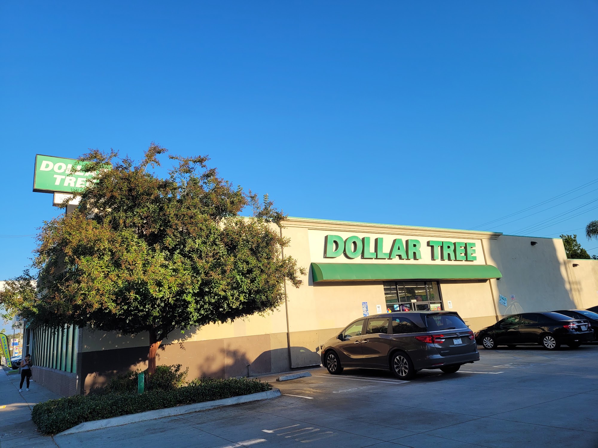 Dollar Tree