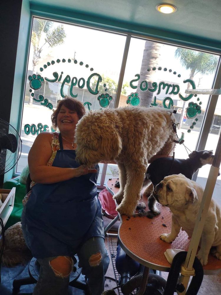Cameo's Pet Salon & Doggie Day