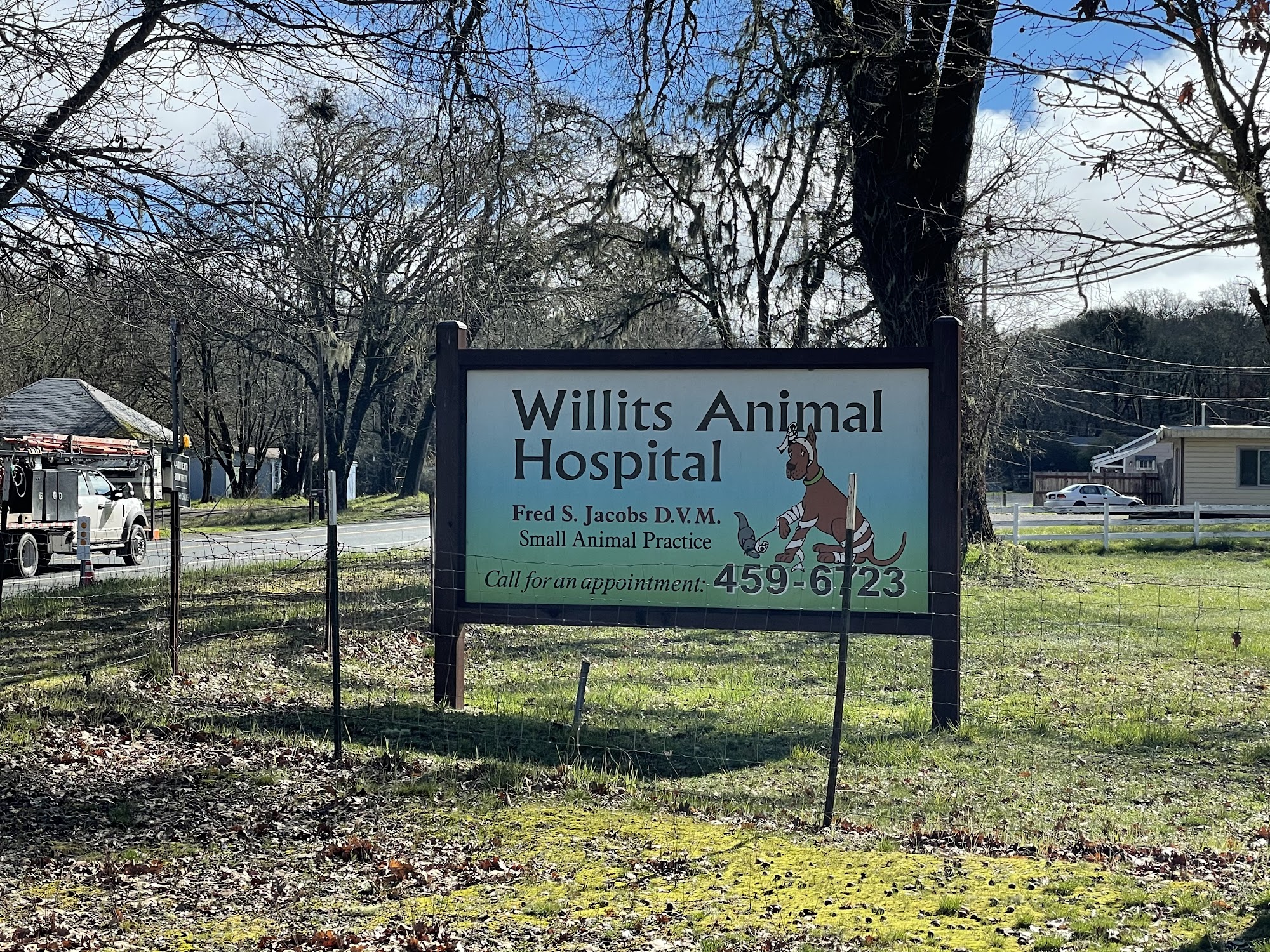 Willits Animal Hospital