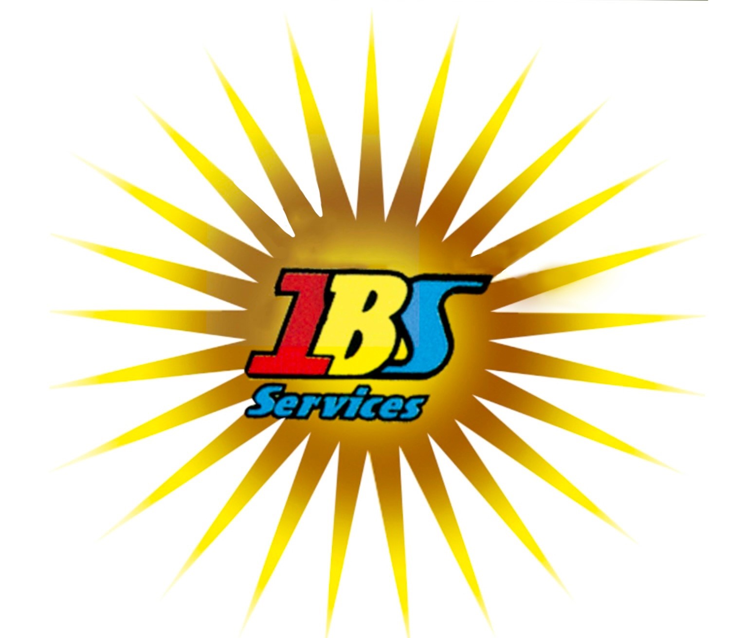 IBS Tax Services