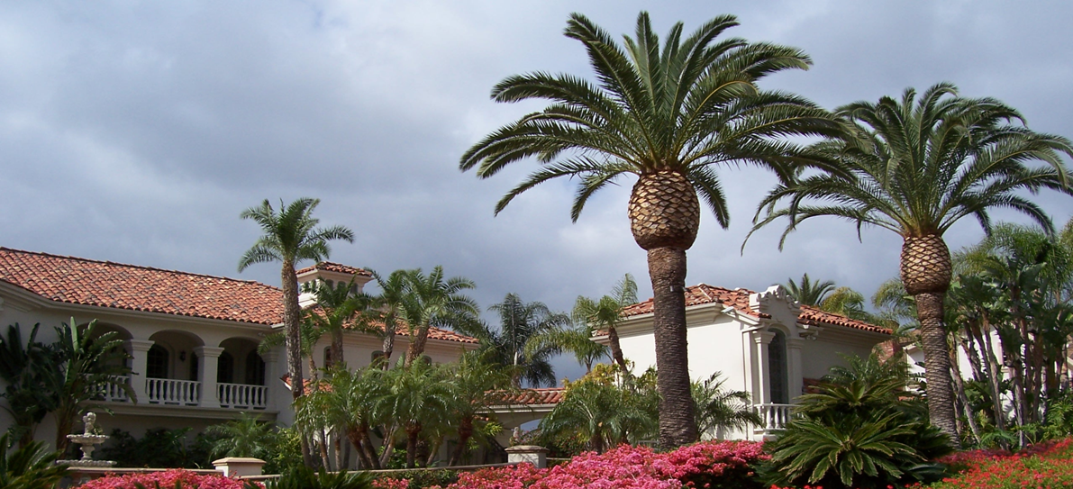 Rob's Tree Service, Trimming, Orange County