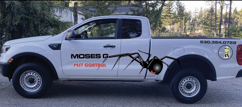 Moses Gaitan pest control