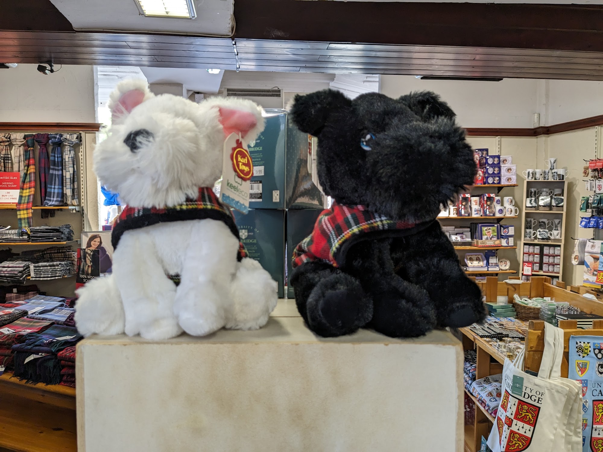 The Edinburgh Woollen Mill