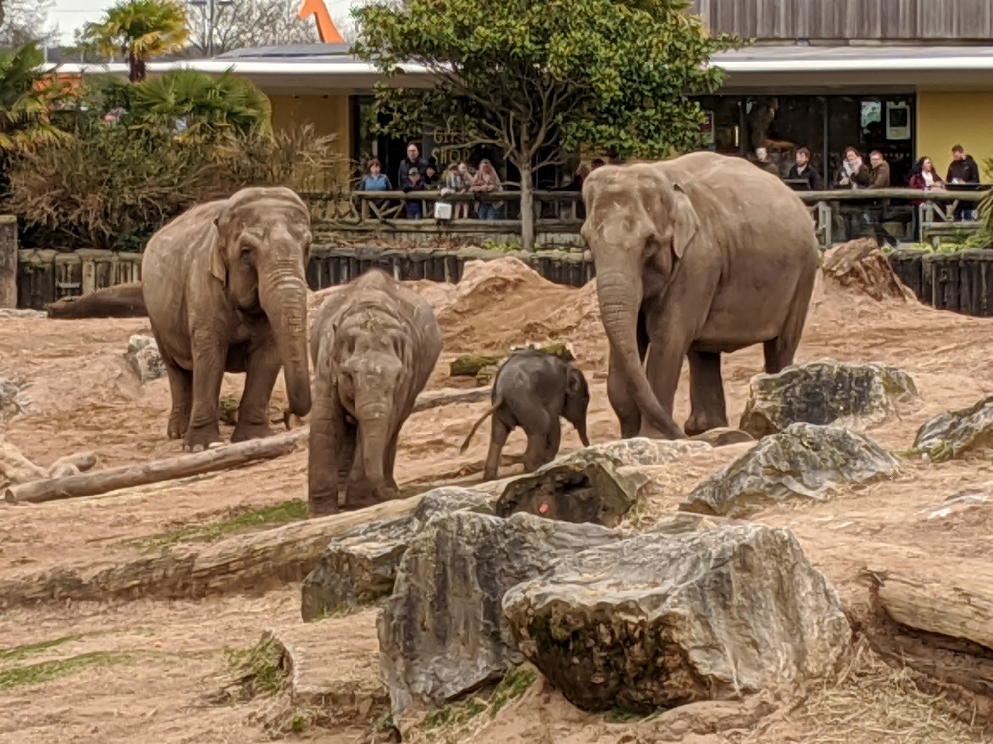 Cedar House - Chester Zoo