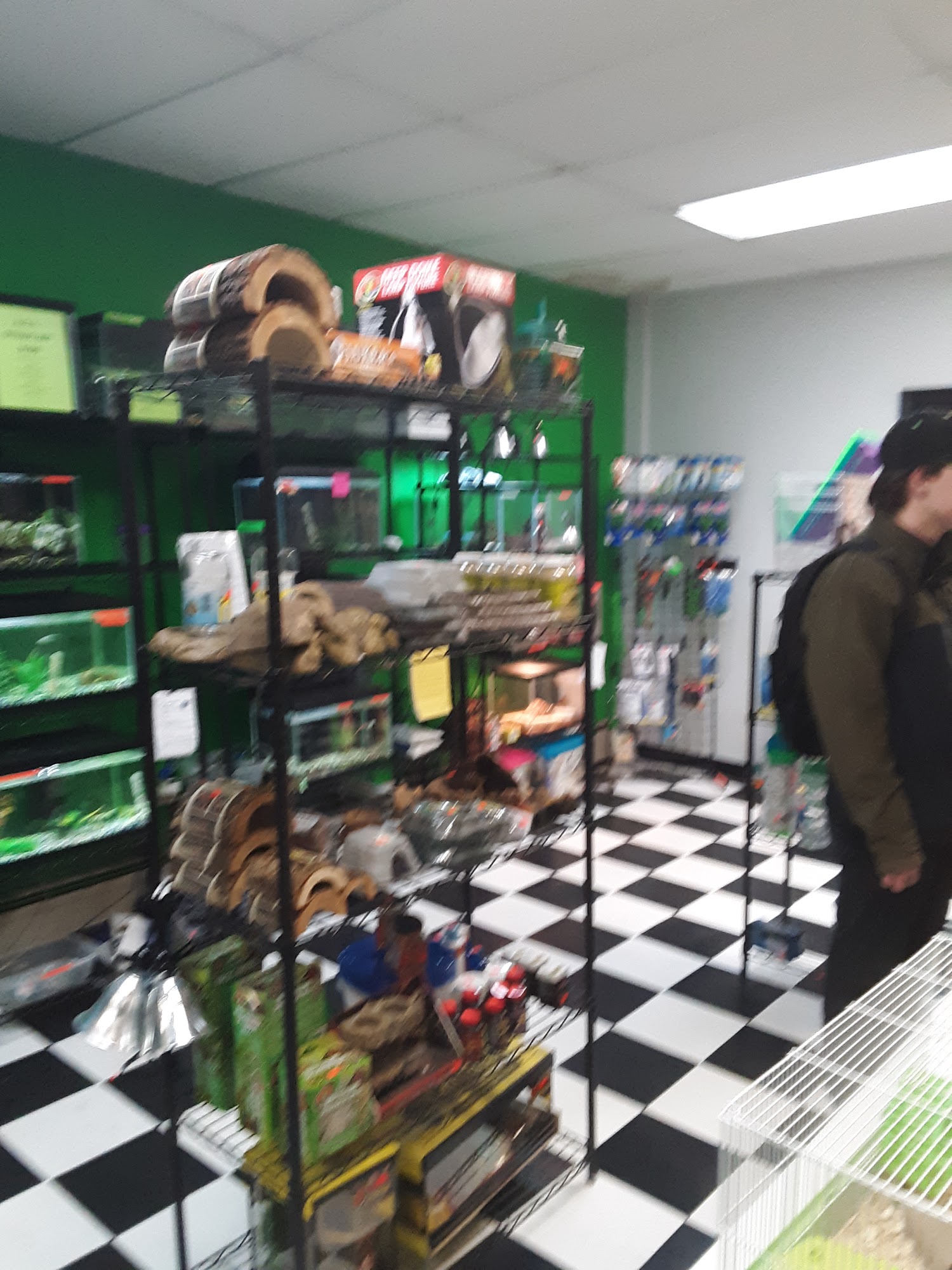 Alamosa Small Animals Alamosa