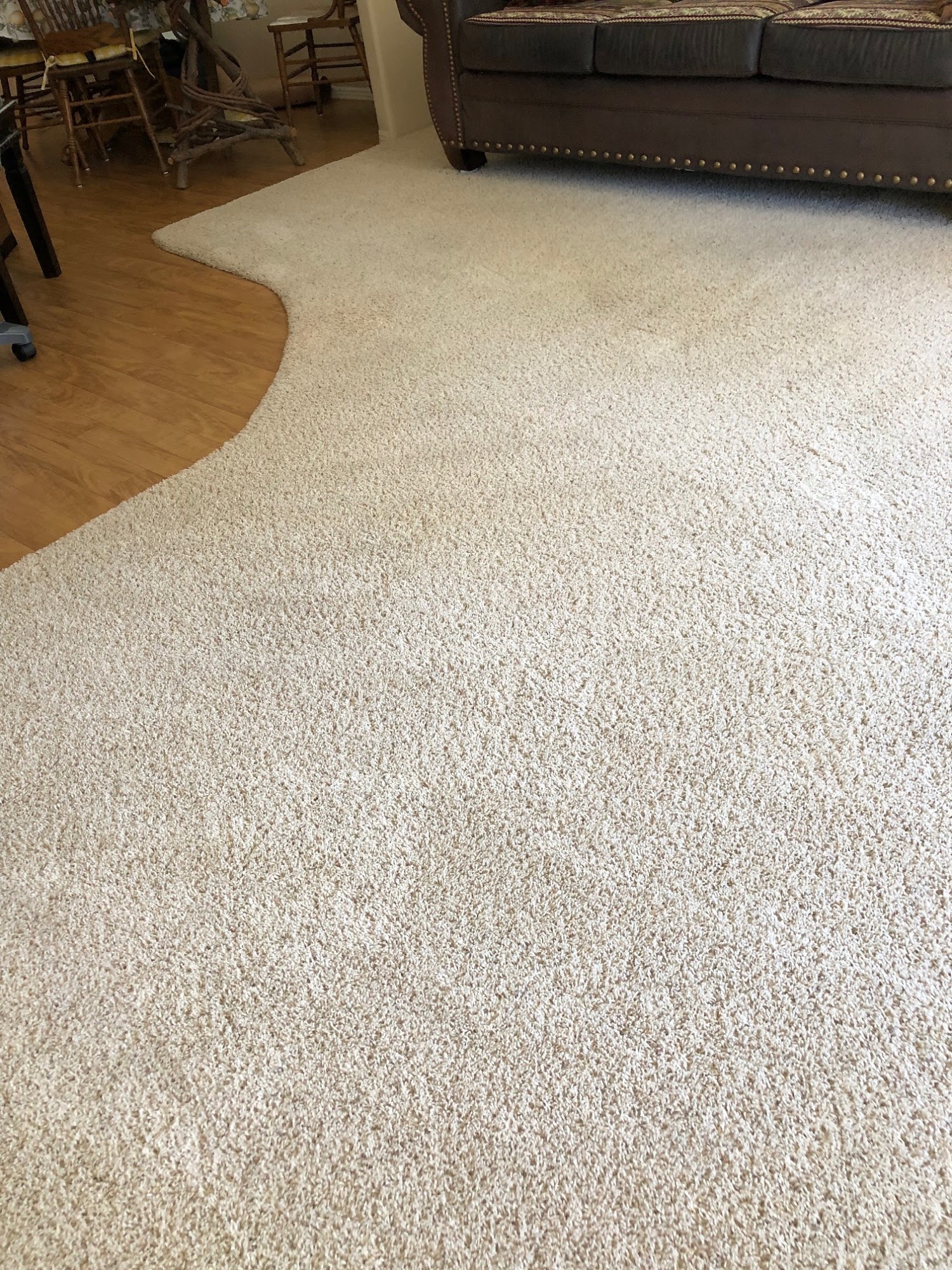 BIG DOG Carpet & Tile Cleaning 701 Forest Lakes Dr, Bayfield Colorado 81122