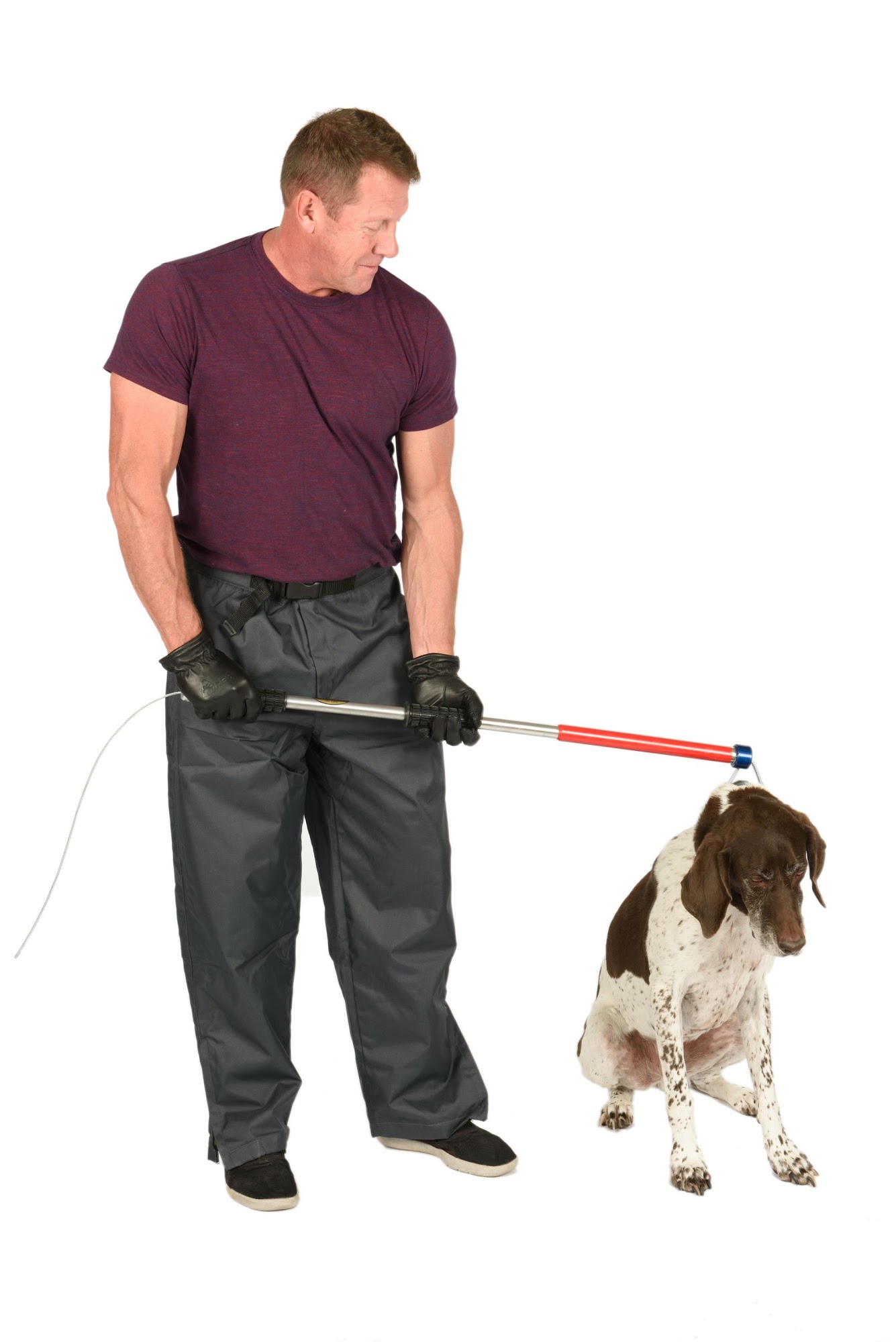 Animal Care Equipment & Services Broomfield