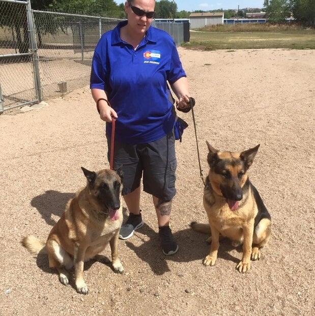 colorado dog academy Broomfield