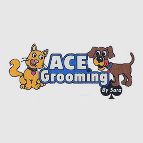 Ace Grooming By Sara Centennial