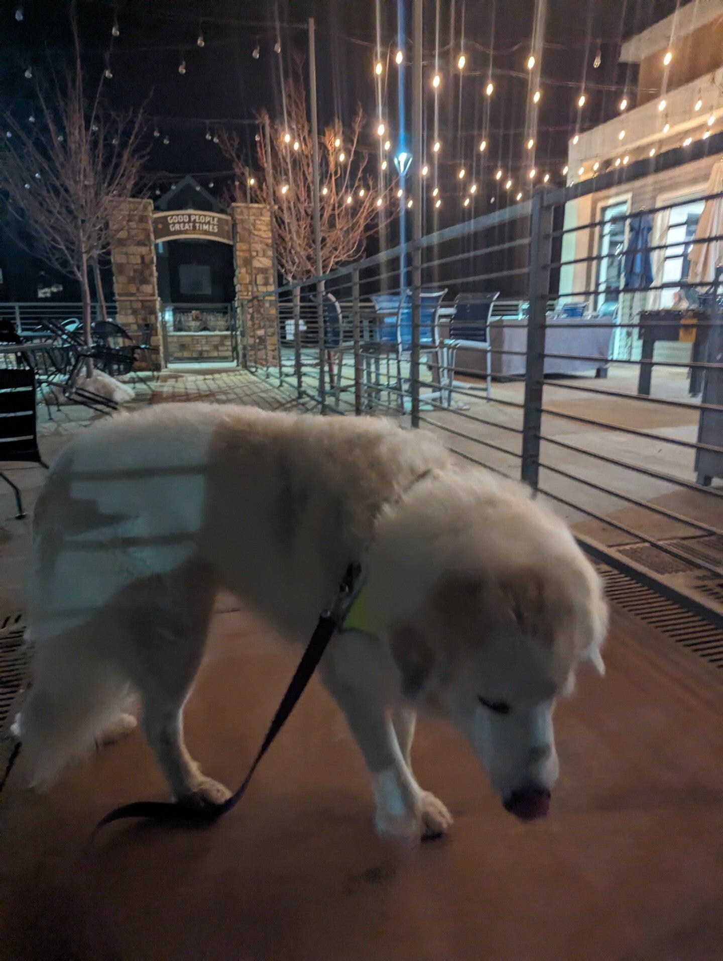 Photo credit: nextdoor