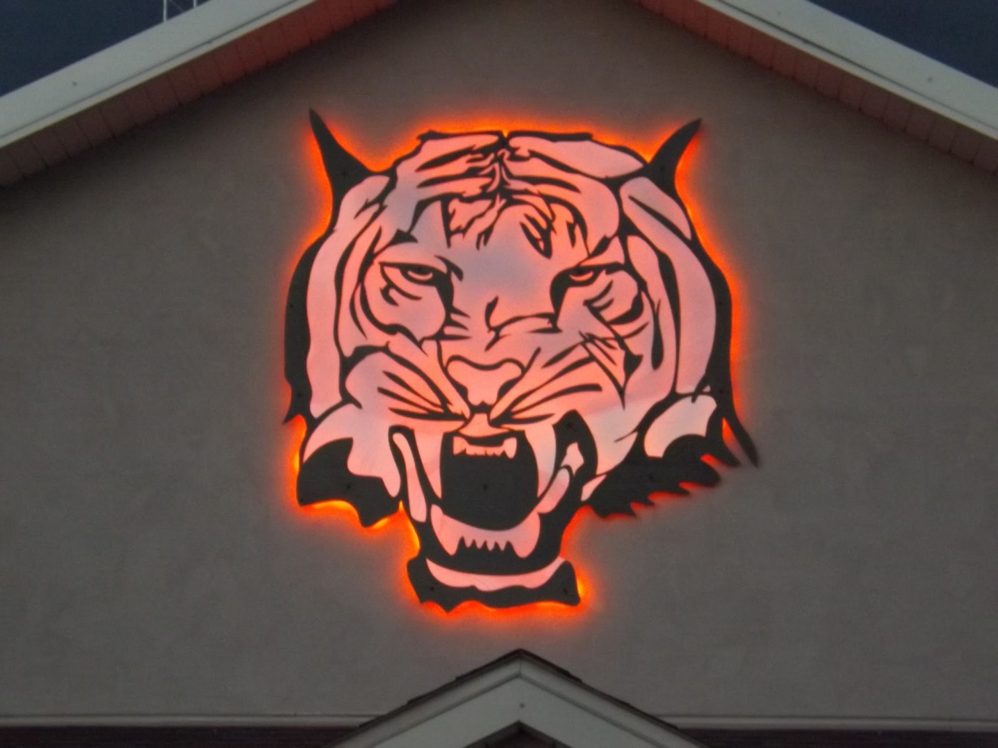 Tiger Electric Inc