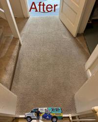 RiNo Carpet Cleaning