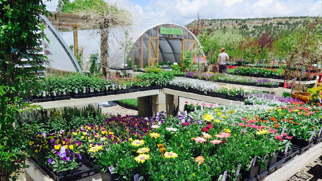 Durango Nursery & Supply Inc