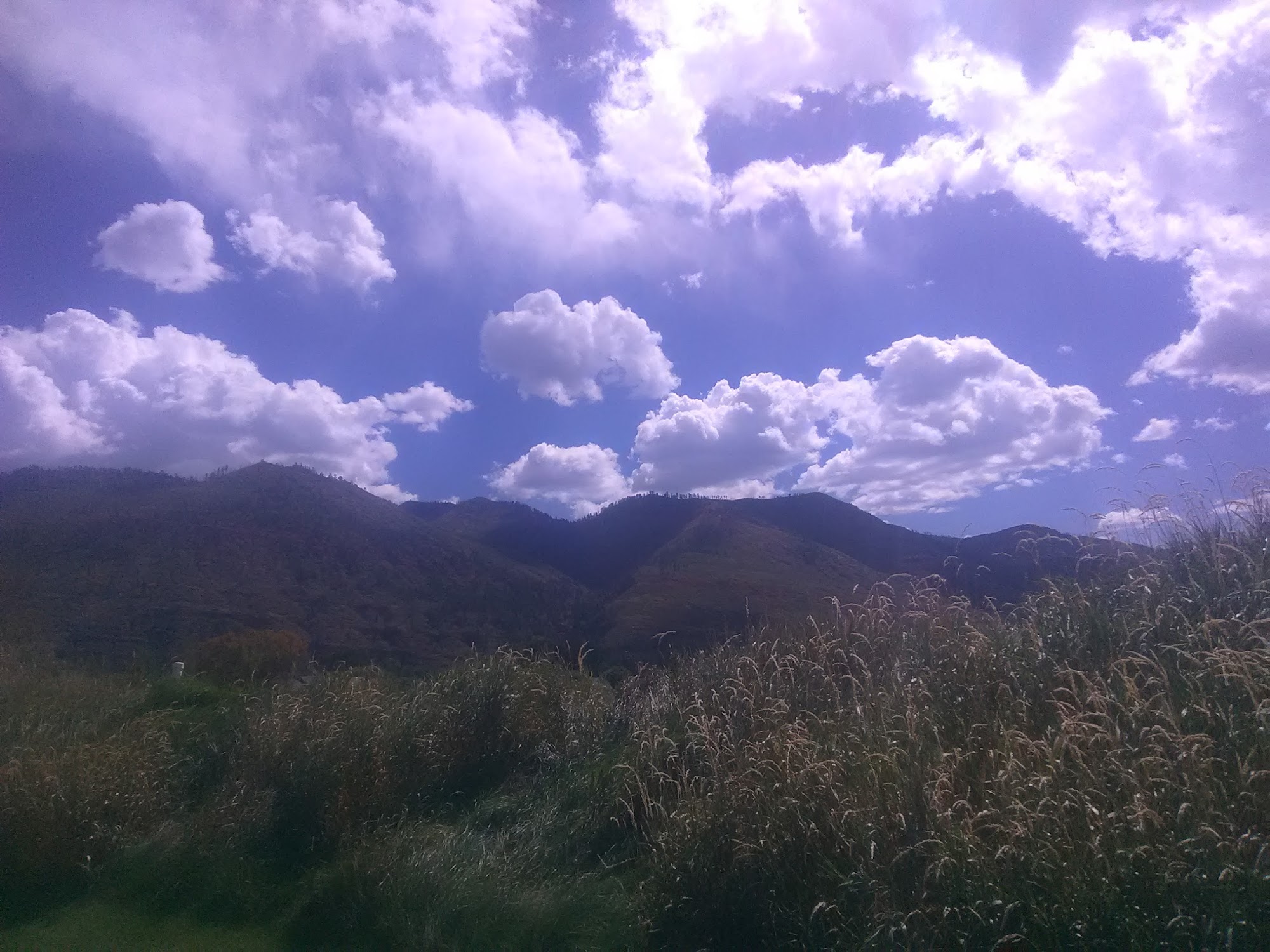 M & M Enterprises Inc