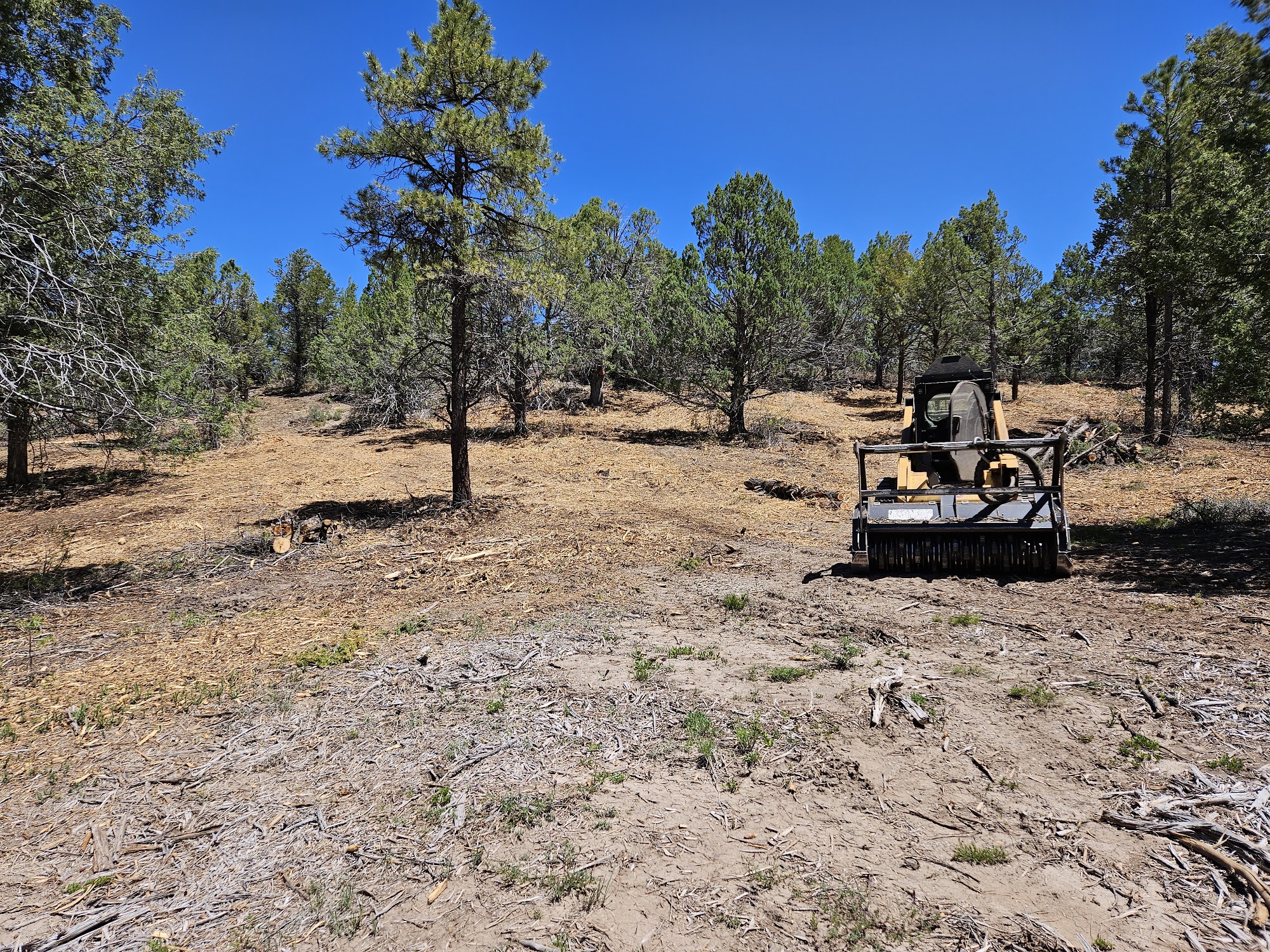 Cedar Enterprises - Durango Landscaping Design and Wildfire Mitigation Services