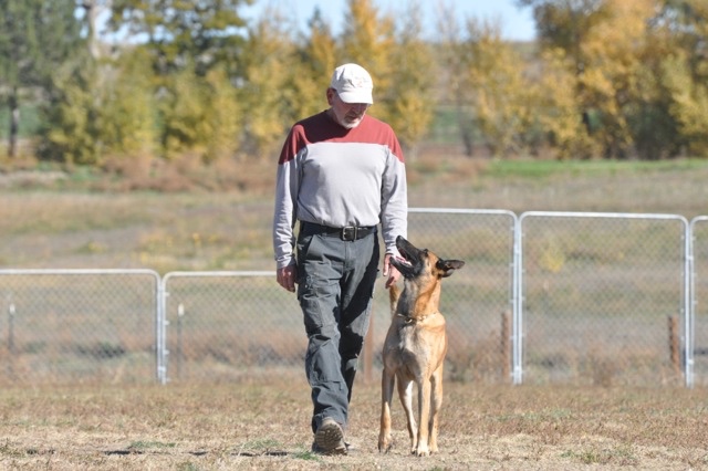 Two Bears Raw Dog Food and Dog Training Erie