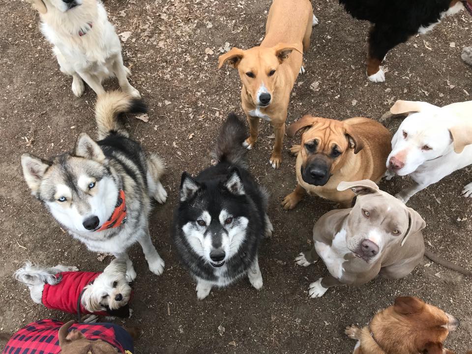 Rocky Hill Ranch Erie