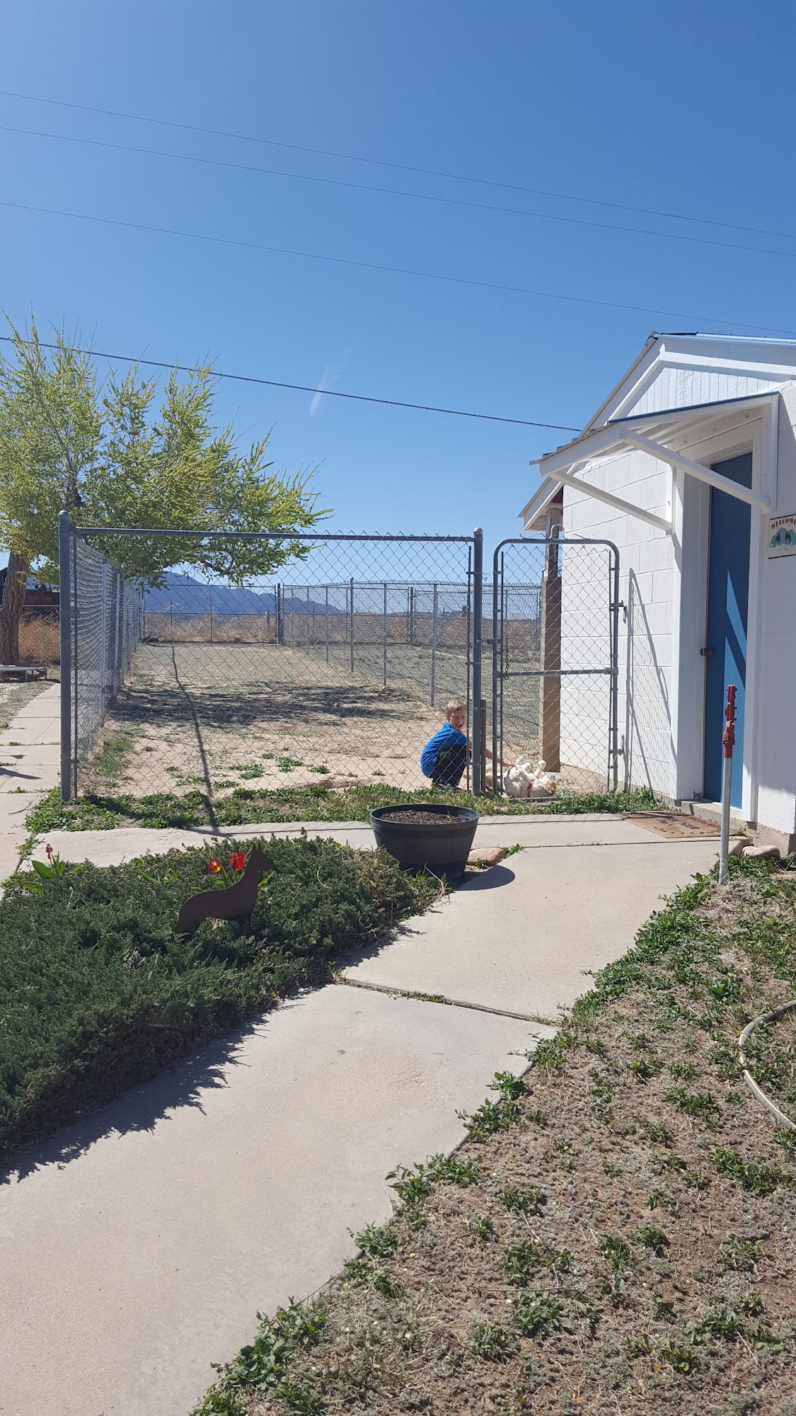 Kinsey's Kennel Florence