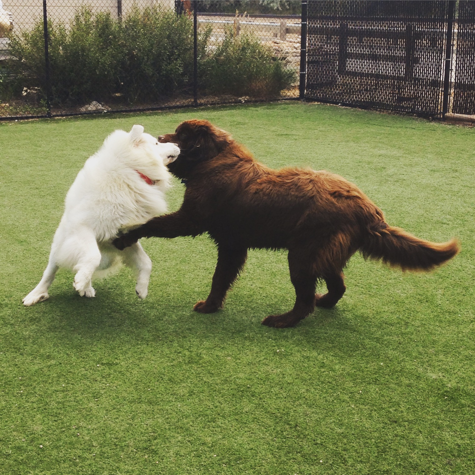 Come-Play-Stay Fort Collins
