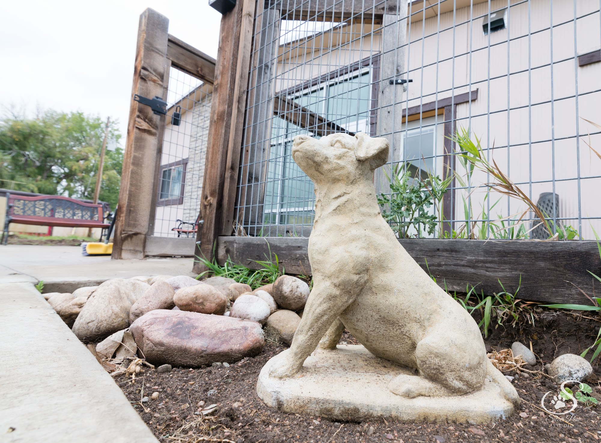 Animal Friends Alliance Fort Collins