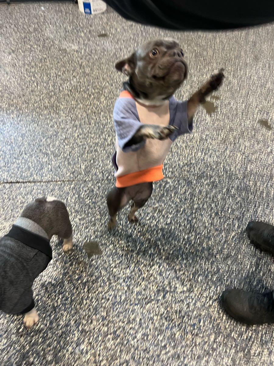 Photo credit: nextdoor