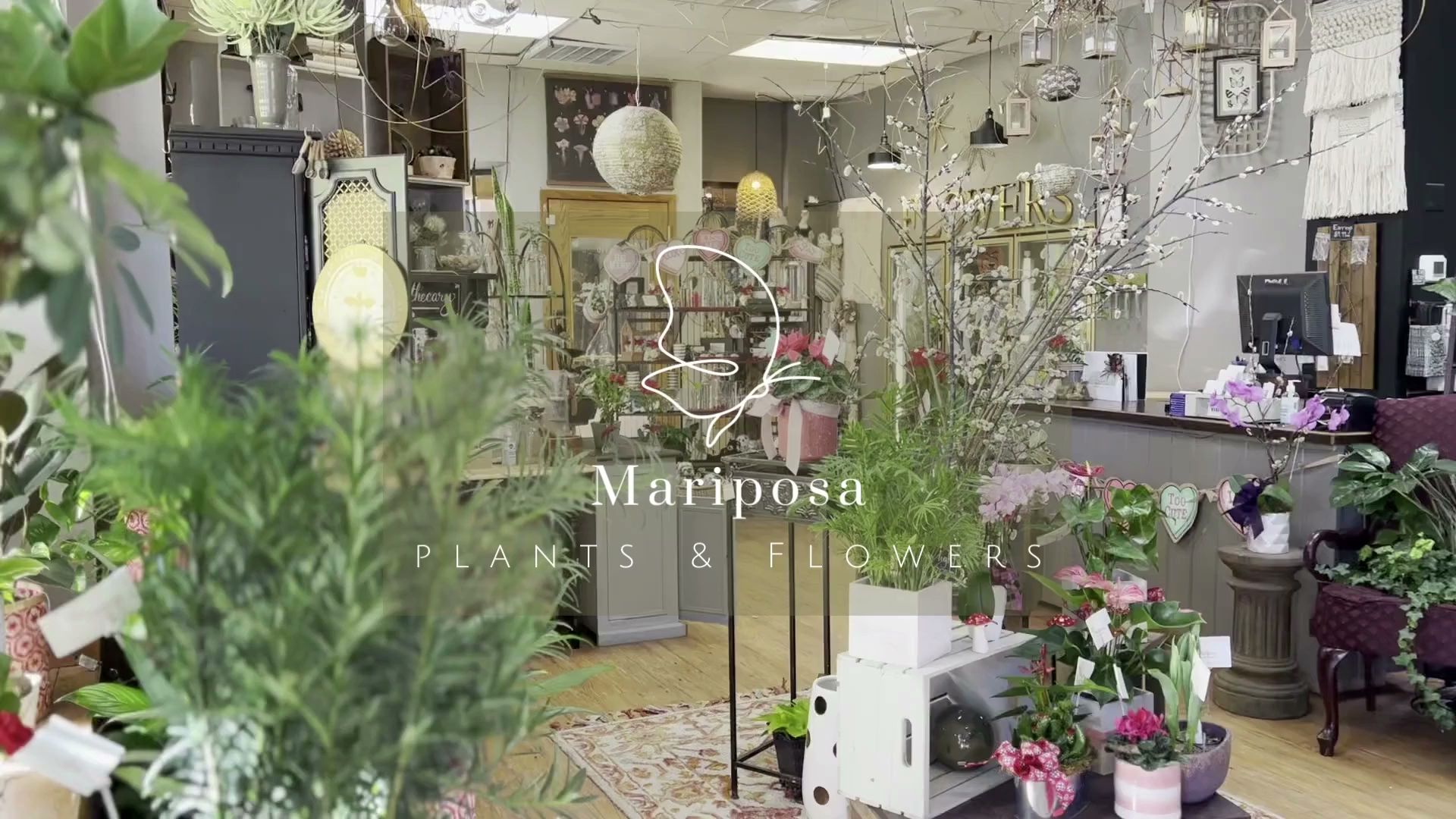 Mariposa Plants & Flowers