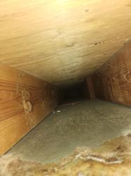 TLC Carpet & Air Duct Cleaning
