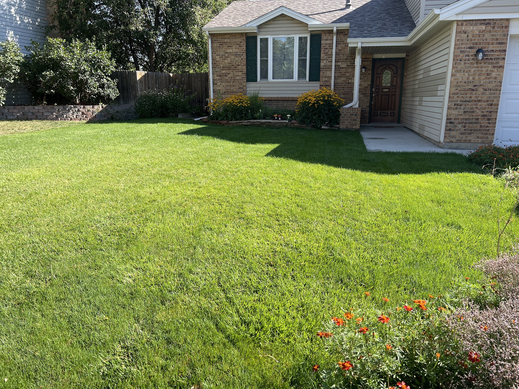 Lawn Doctor - Lakewood