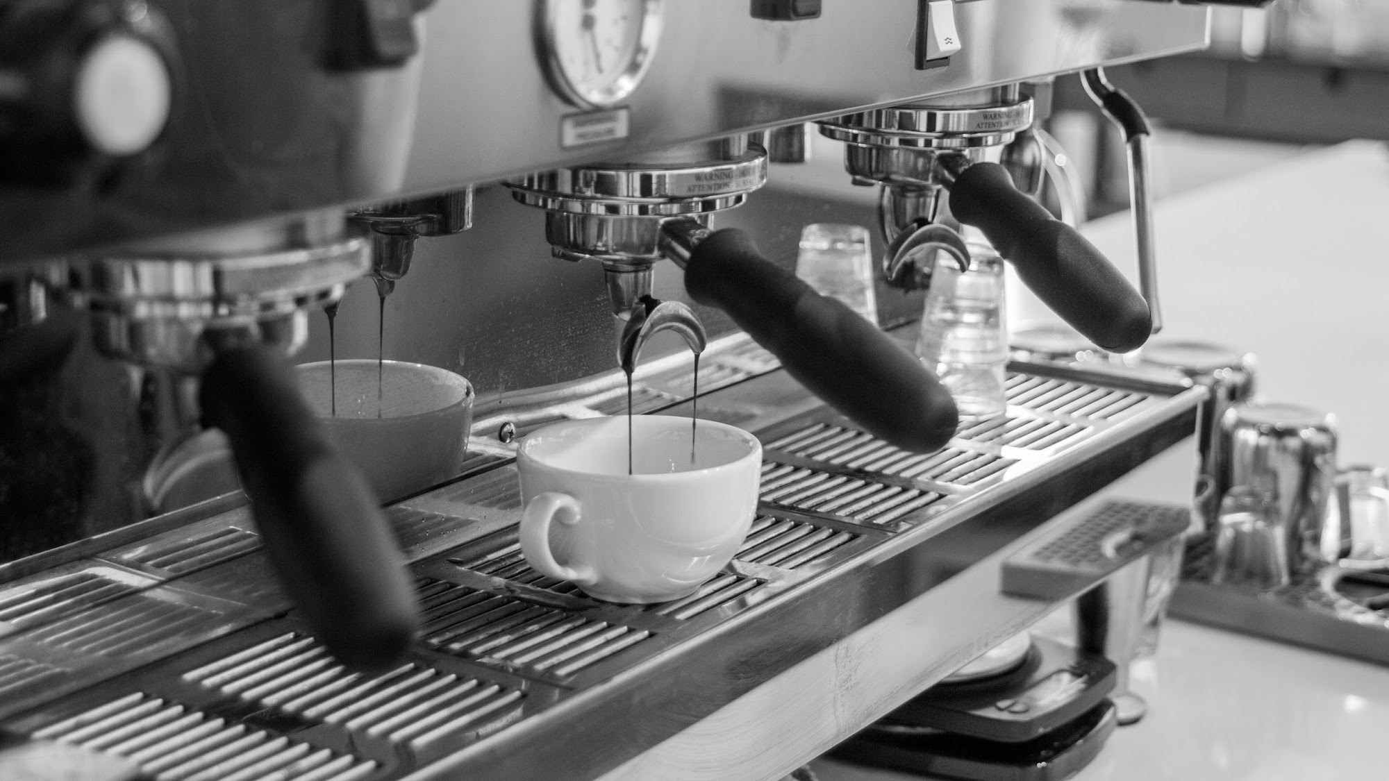 Monk & Mongoose Coffee Co Lone Tree