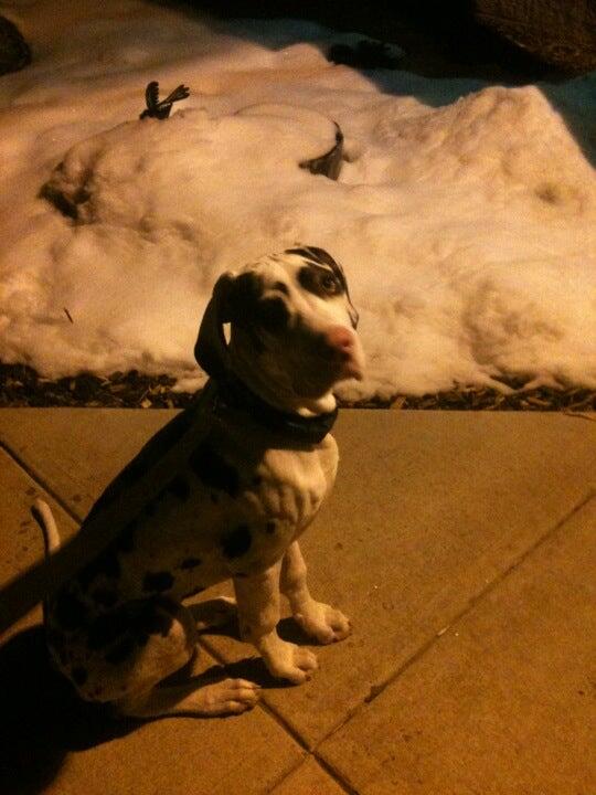 Photo credit: nextdoor