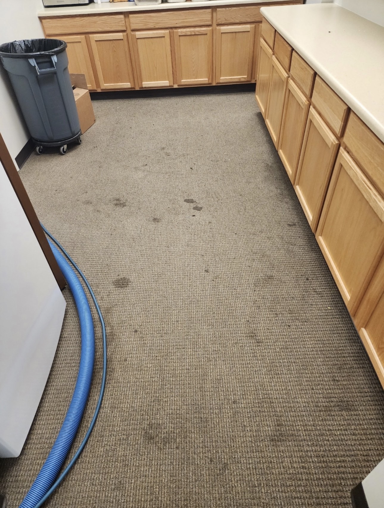 Mountain Best Carpet & Upholstery Cleaning 6137 High Dr, Morrison Colorado 80465