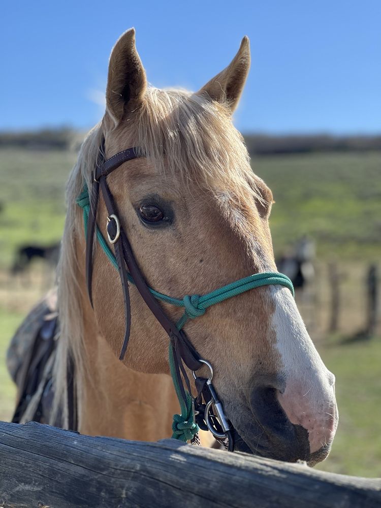 Photo credit: 