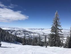 Steamboat Springs Parks & Community Services