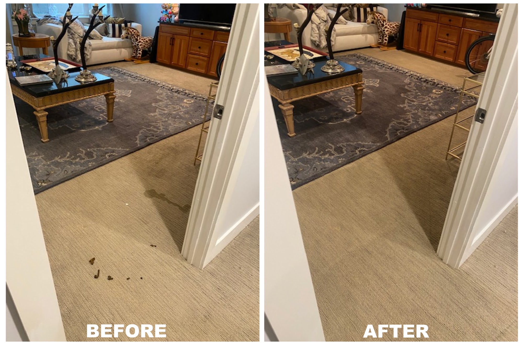 Fresh Start Carpet Cleaning & Restoration
