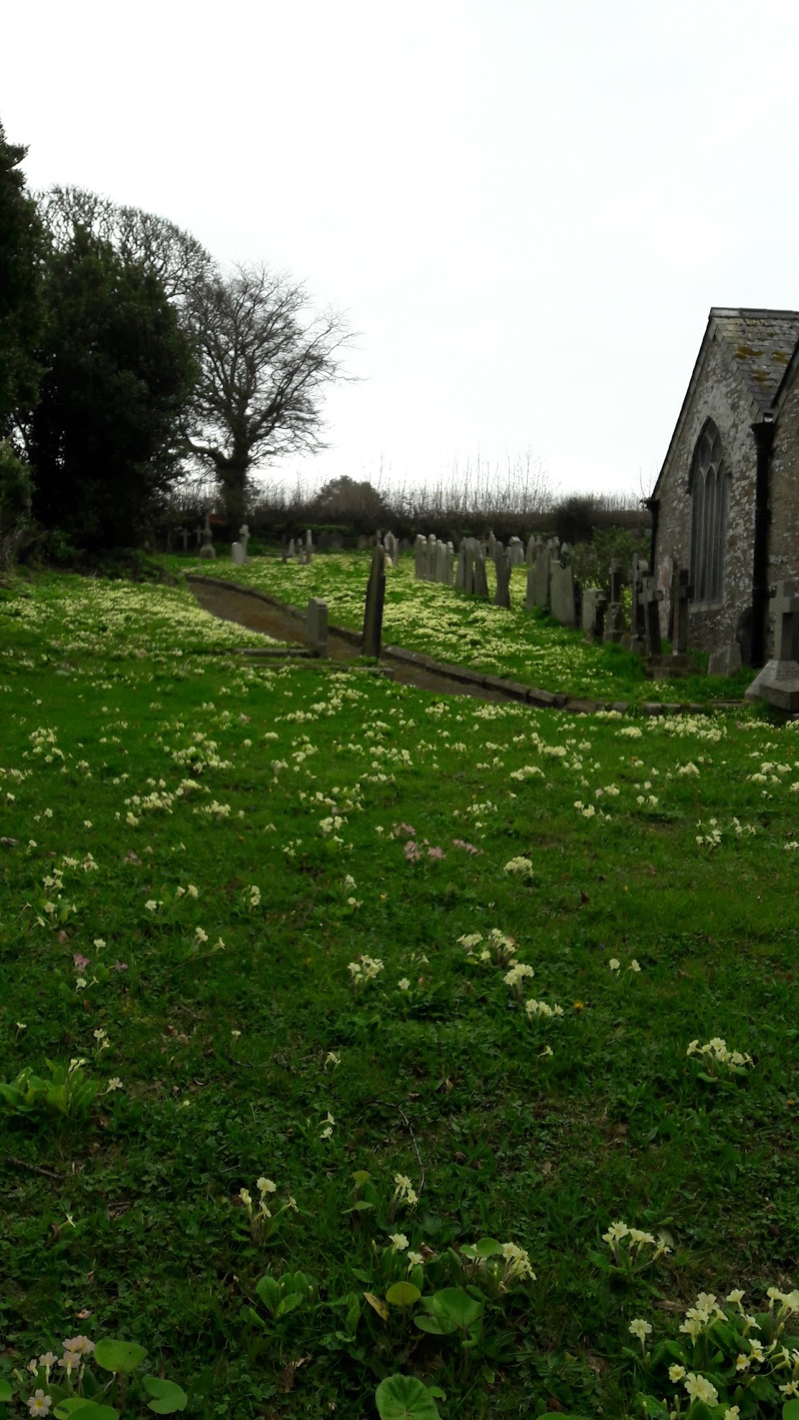 St Martin's Church