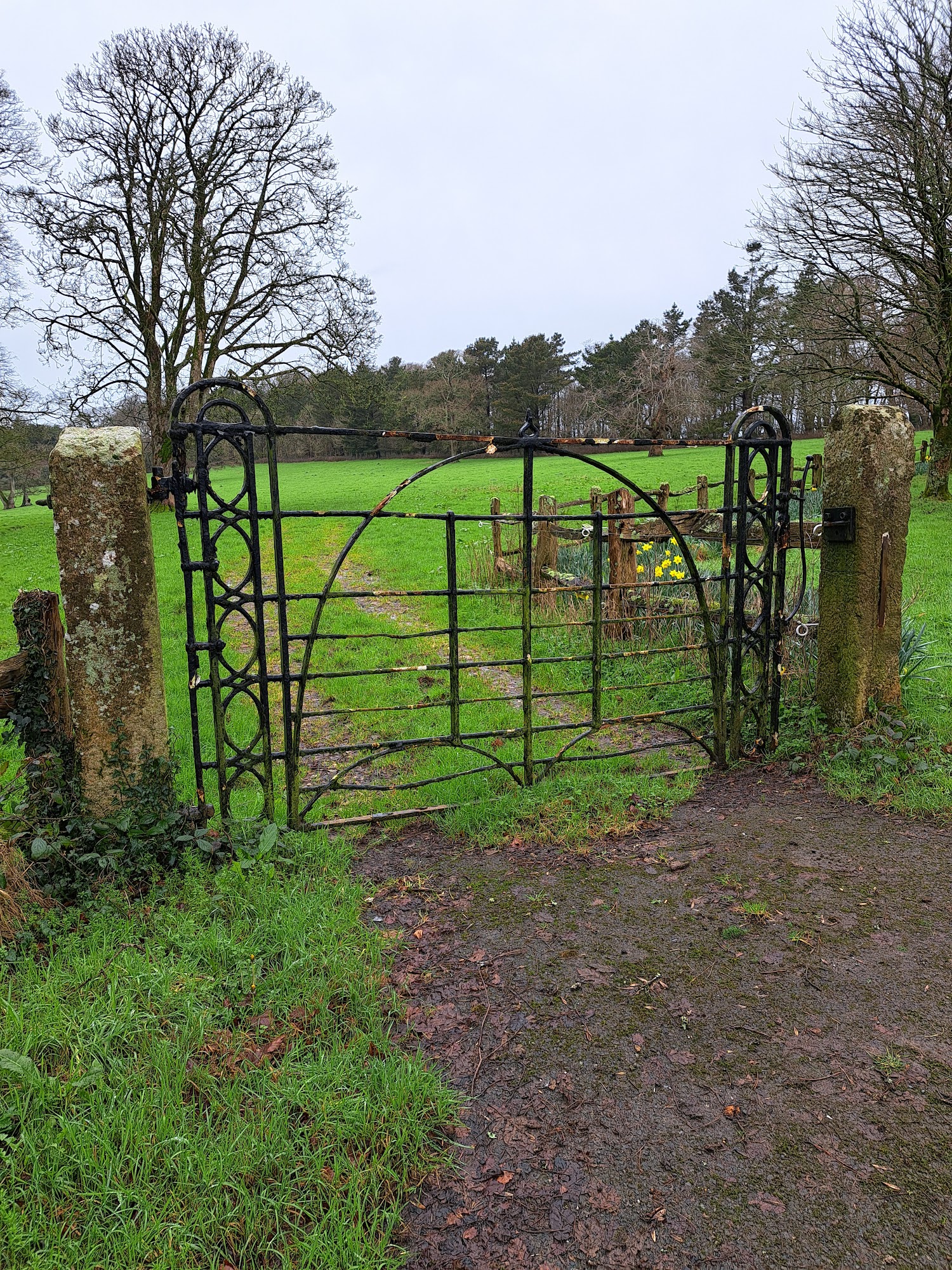 Trewithen Gardens