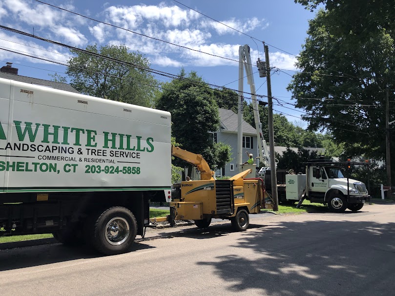 White hills Landscaping & Tree Service, LLC