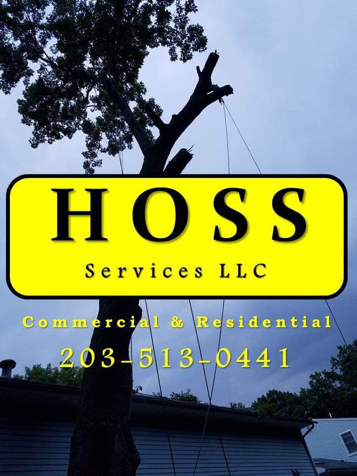 HOSS Services LLC