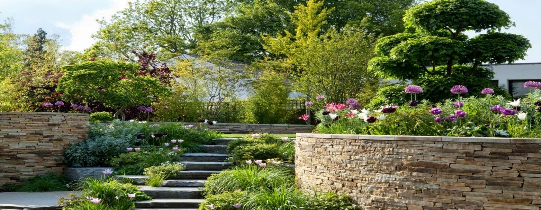 CT Lawn & Landscape, Inc.